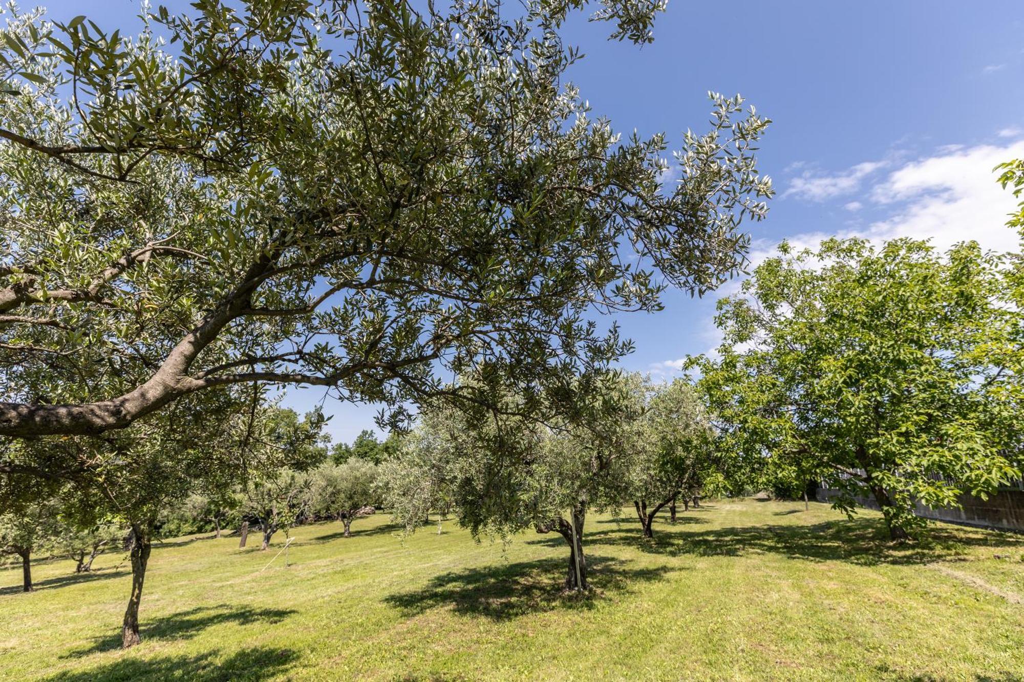 Affittacamere Cigui Muggia Luaran gambar