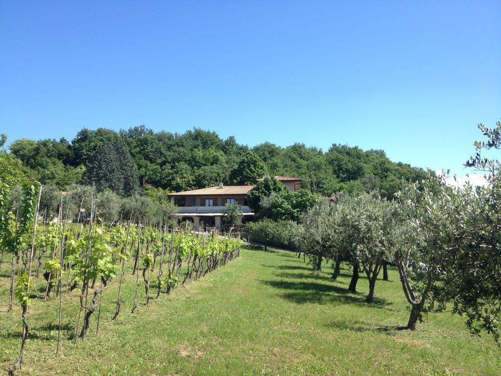 Affittacamere Cigui Muggia Luaran gambar