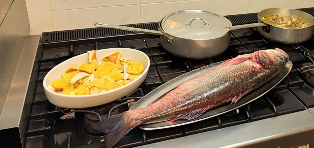 Affittacamere Cigui Muggia Luaran gambar
